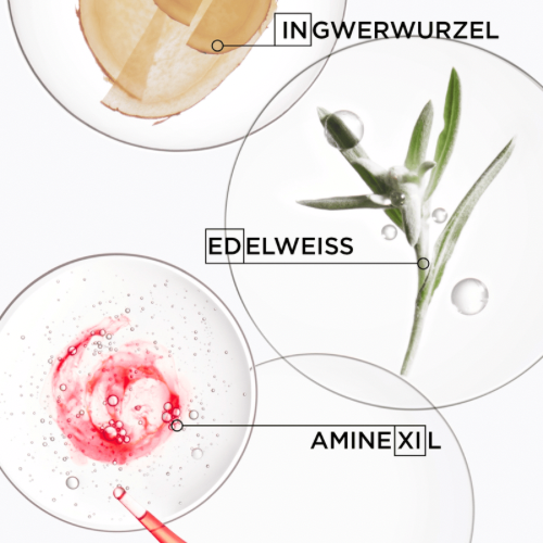 Bain Nutri-Fortifiant 250ml – Bild 4