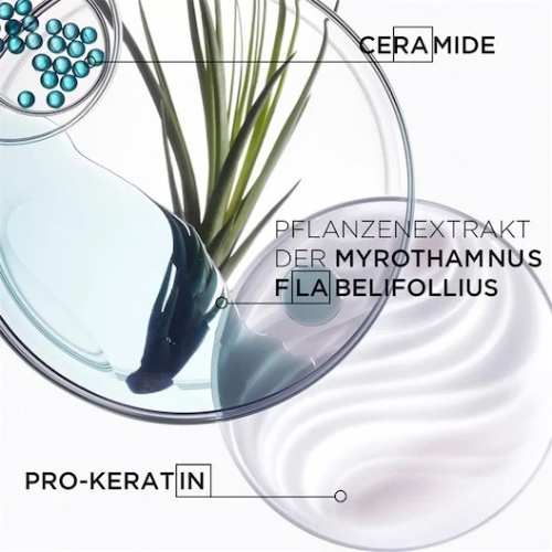 Bain Force Architecte 500ml – Bild 3